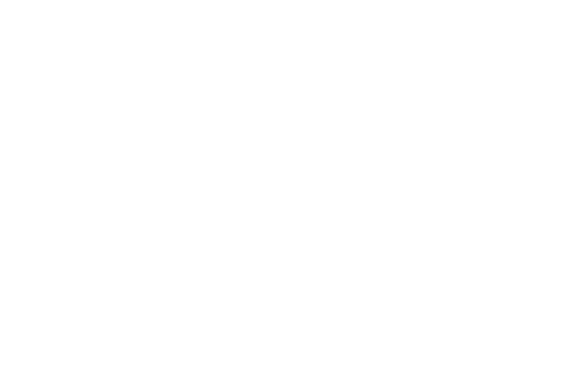 warady logo white